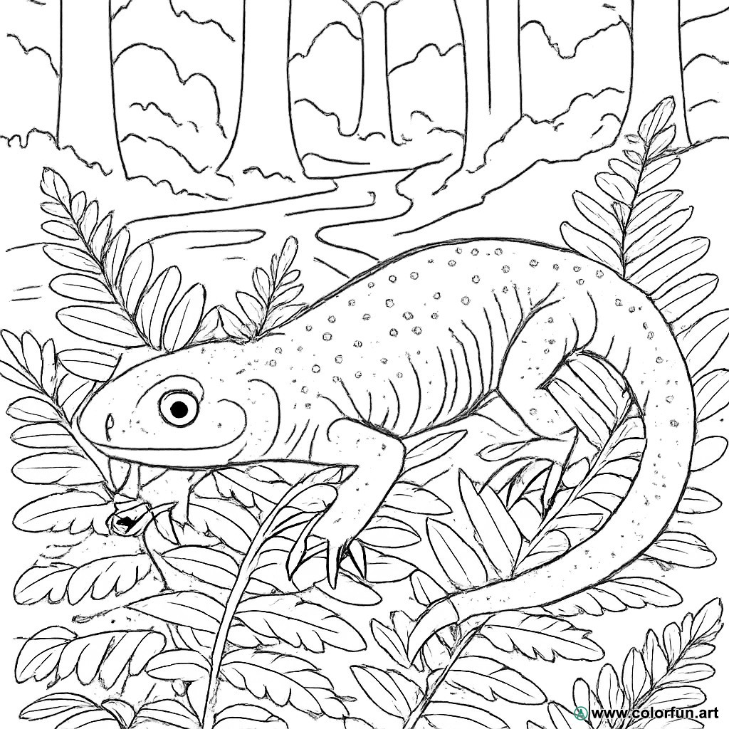 Ausmalbild realistischer Salamander