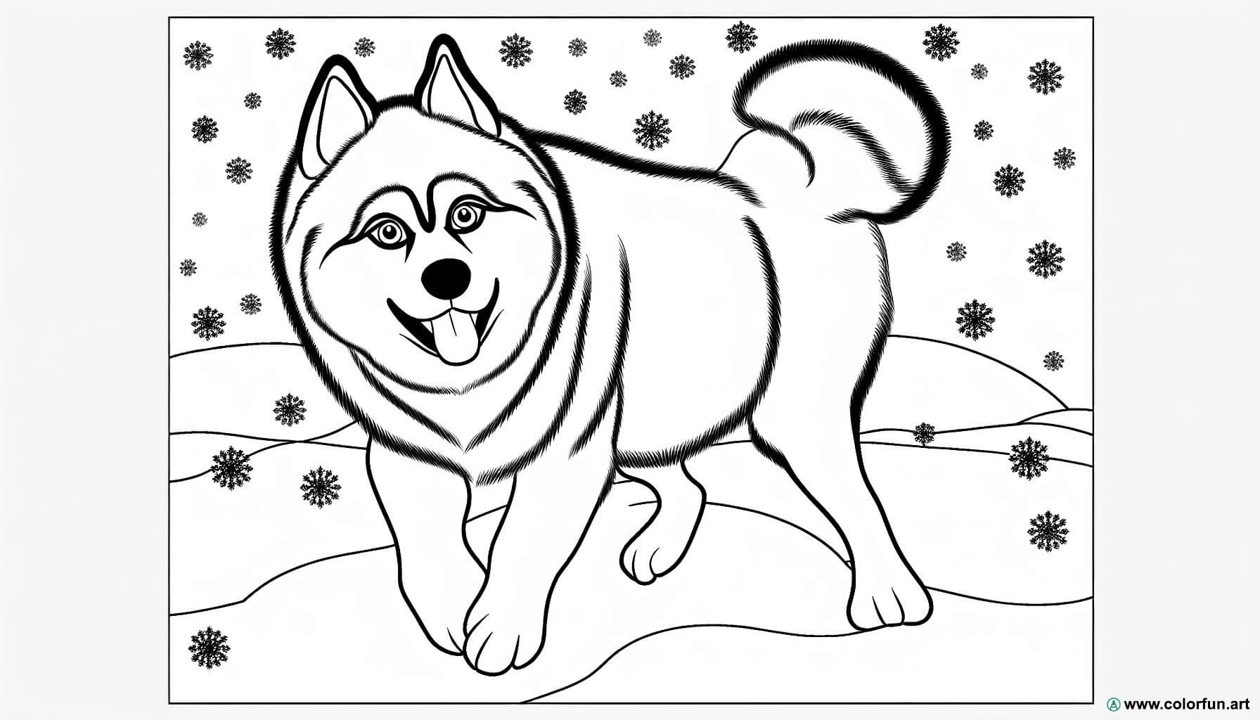 Ausmalbild realistischer Husky
