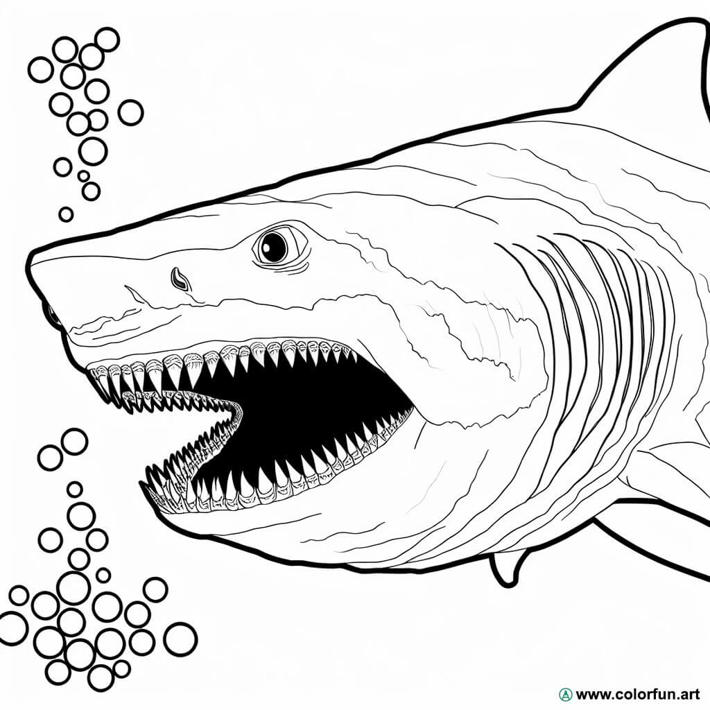 Ausmalbild realistischer Megalodon-Hai