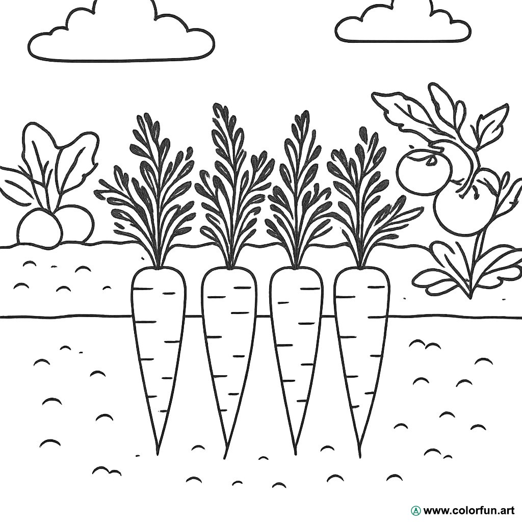 Ausmalbild Karotten Gemüsegarten
