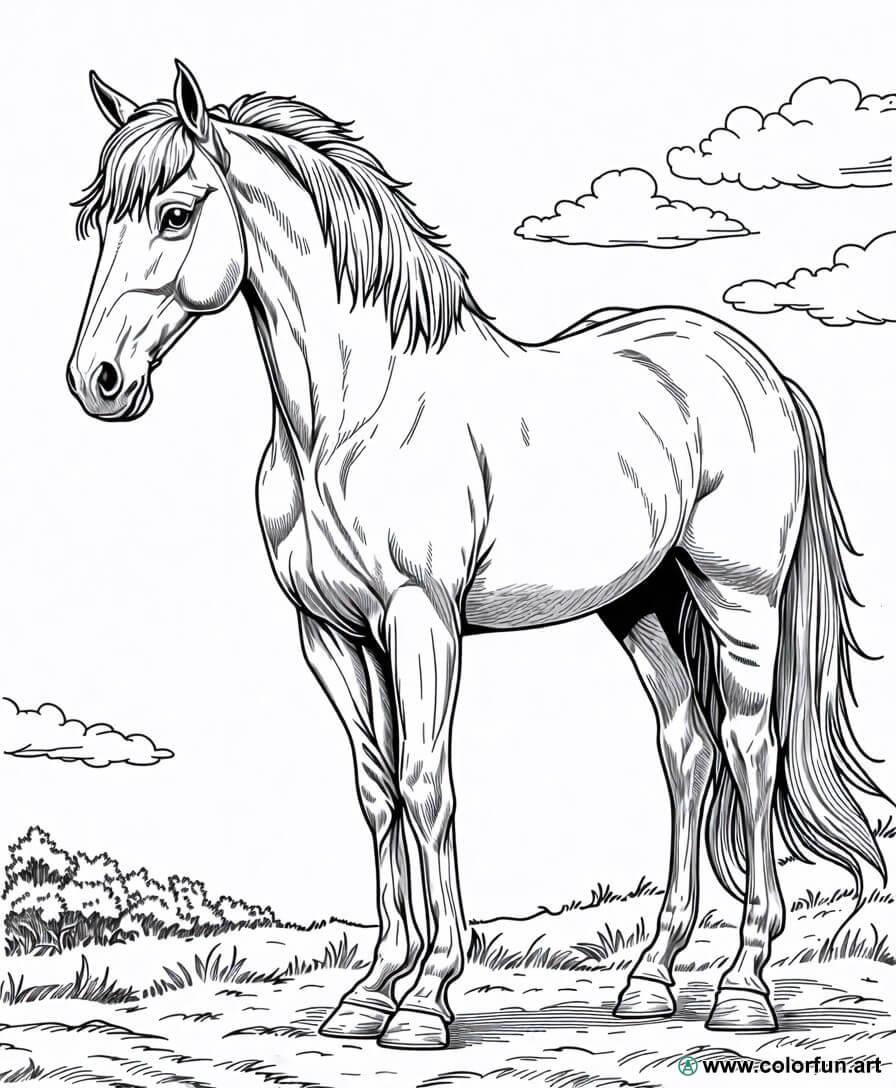 Ausmalbild realistisches Pferd