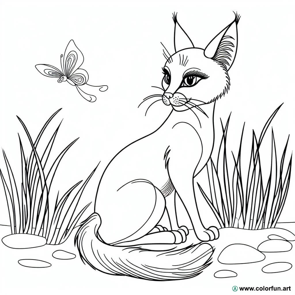 Ausmalbild realistische Katze